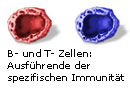 Spezifische Immunitaet